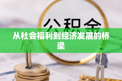 钟山从社会福利到经济发展的桥梁