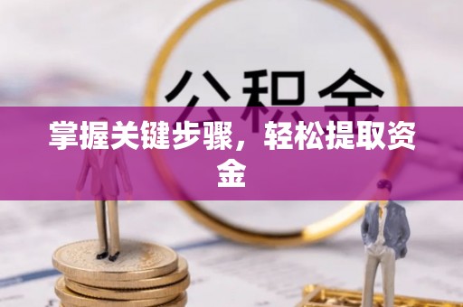 钟山掌握关键步骤，轻松提取资金