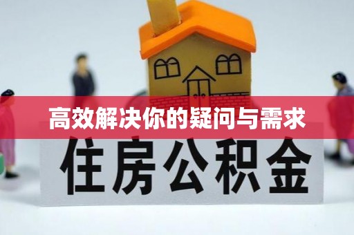 钟山高效解决你的疑问与需求