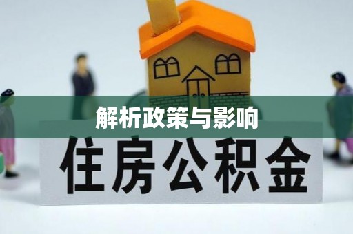 钟山解析政策与影响