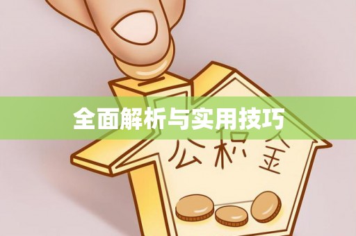 钟山全面解析与实用技巧