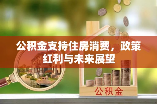 钟山公积金支持住房消费，政策红利与未来展望