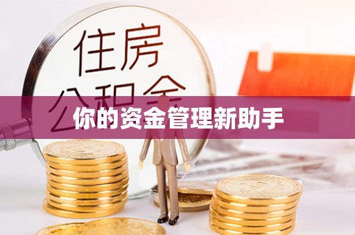 钟山你的资金管理新助手