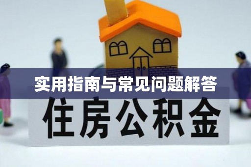钟山实用指南与常见问题解答