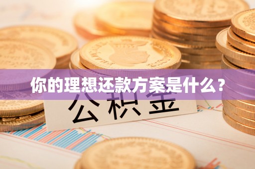 钟山你的理想还款方案是什么？