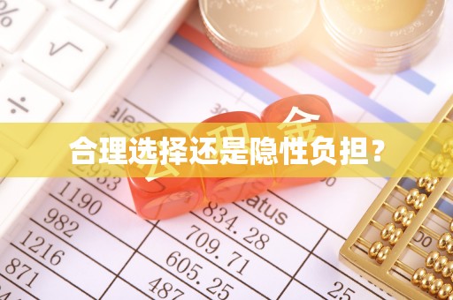 钟山合理选择还是隐性负担？