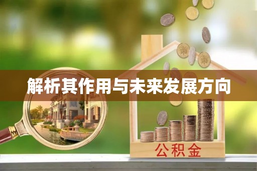 钟山解析其作用与未来发展方向