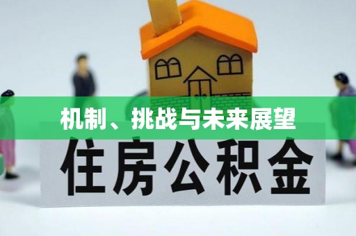 钟山机制、挑战与未来展望