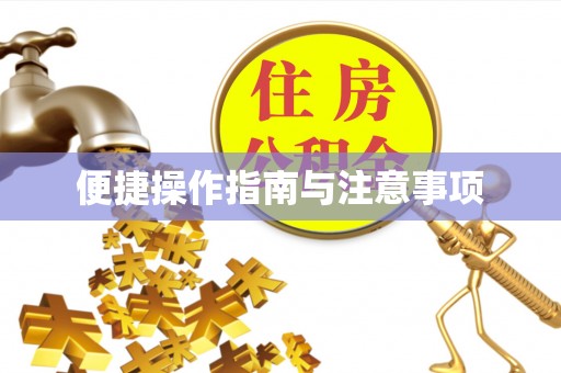 钟山便捷操作指南与注意事项